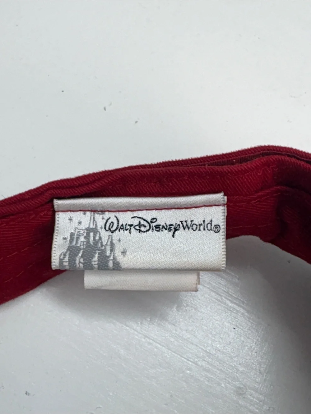 Magic kingdom visor